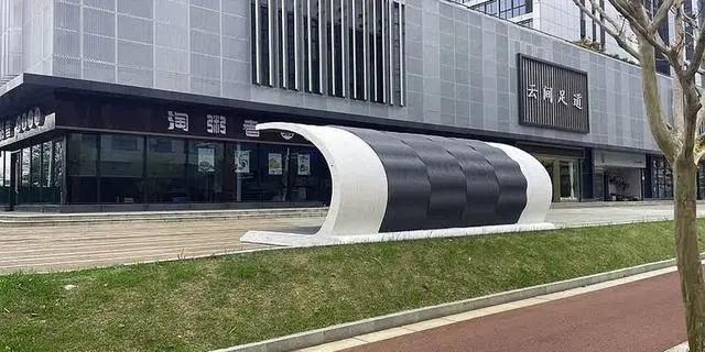 新华日报：线条优美宛如艺术品 南京首批3D打印车棚亮相街头